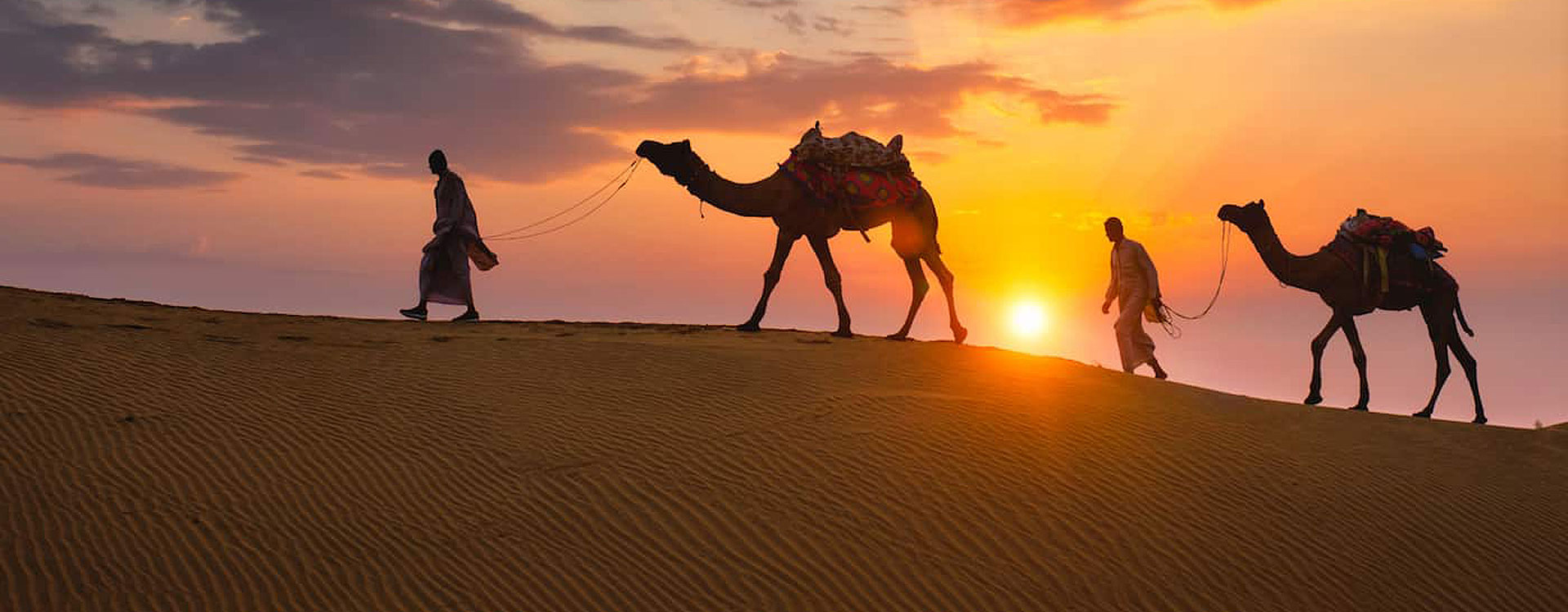 Rajasthan Tours